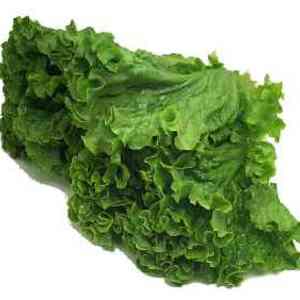 Mixed baby lettuce