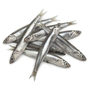 Friske sardiner