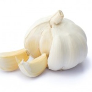 Garlic raw