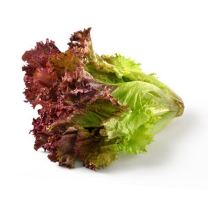 Rødbladet salat