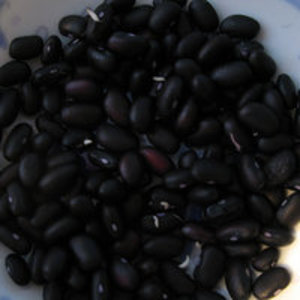 Fagiolo nero in scatola