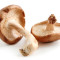 Shiitake paddenstoel