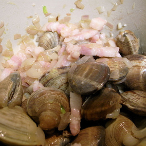 Steamer clams