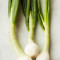 Scallions