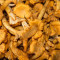 Wild mushrooms