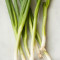 Green onion top