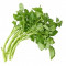 Watercress