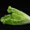 Romaine lettuce