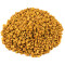 Fenugreek