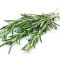 Fresh rosemary